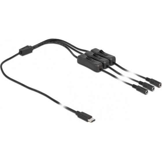 DeLock ������� USB Type-C �� 3x DC 5.5 x 2.1mm , 1m, ����� - (86801)