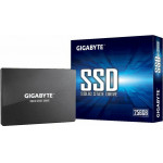 Gigabyte SSD 256GB - (GP-GSTFS31256GTND)