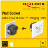DeLock ����� ������ �� ����� �������� USB & USB Type-C 3.4A, ����� - (11489)