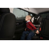 CarShades FORD FOCUS 5D 04-11 ����������� ����� car shades - 6��� - (FOR-FOCU-5-B)