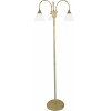 Homelighting 1012-3F Kup Floor Lamp E5 - (77-3244)