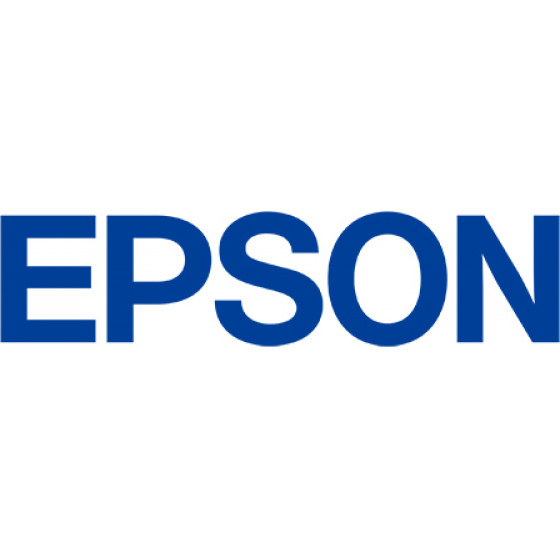 Epson Waste Bin T6997 - (C13T699700)
