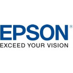 Epson Magenta Toner For F500 - (C13T49N300)