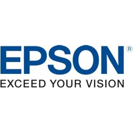 Epson Magenta Toner For F500 - (C13T49N300)