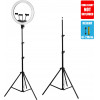 GloboStar Professional Floor Tripod - ������������� ���������� ������� ��� Ring Light LED - (75807)