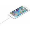 Apple Charge Cable USB to Lightning ����� 1m - (MXLY2ZM/A)