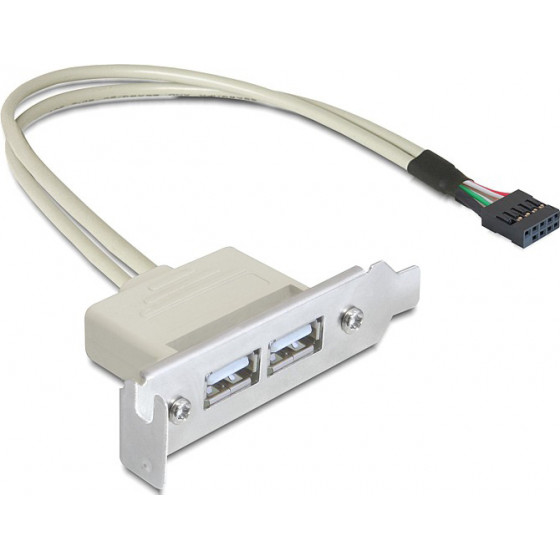 DeLock ����� ��������� Usb 9 Pin �� 2x Usb 2.0 Low Profile - (83119)