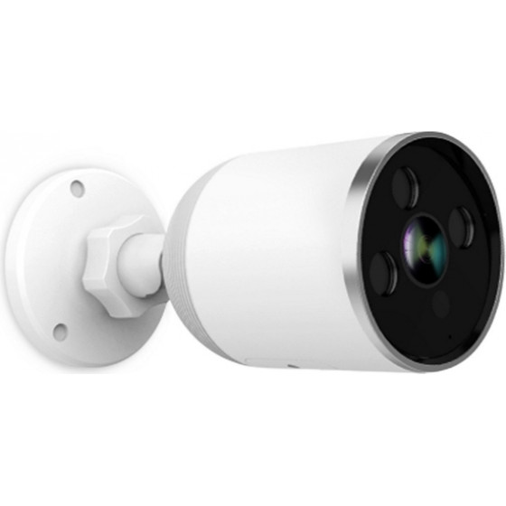 Cleverdog 1W-V4 Outdoor Wired