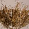 GloboStar Ferngrass ����������� ���� ���������� - �������� ������������� ������� ���� �60cm - (36556)