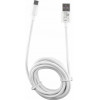 Lime Successories Lime Type C Usb 6.0A ��������-Data 2m L02 WHITE