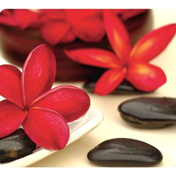 Fellowes Mousepad Earth Series Spa - (5904601)