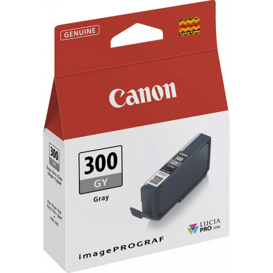 Canon Ink Cartridge PFI-300 Grey (14ml) - - (4200C001)