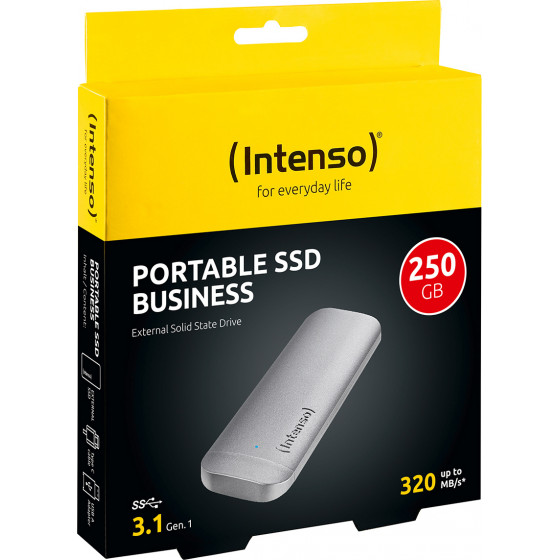 Intenso External Ssd Business 250 Gb - (3824440)