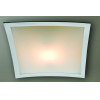 Homelighting MX5428-M �40 METEO COLLECTION CEILING 1�1 - (77-1035)