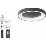 Homelighting SE LED SMART 60 AMAYA CEILING BLACK �3 - (77-8153)