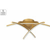Homelighting SE LED 65-3 XENA CEILING BRUSHED GOLD - (77-8173)
