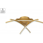 Homelighting SE LED 65-3 XENA CEILING BRUSHED GOLD - (77-8173)