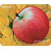 Defender Mousepad Juicy 220 X 180 X 0.4 Mm (Red APPLE) - (50412-02)