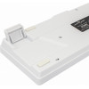 White Shark Rgb Gaming Membrane Keyboard Ronin White - (GK-2201W)
