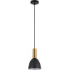 Homelighting SE21-GM-4-MS2 ADEPT TUBE Gold Matt Pendant Black Metal Shade+ - (77-8638)