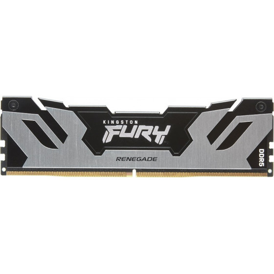 Kingston Memory Fury Rngd Slvr 6.4G - (KF564C32RS-16)