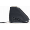 GEMBIRD ERGONOMIC RGB OPTICAL MOUSE 6-BUTTON - (MUS-ERGO-03)