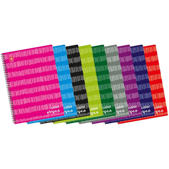 Typotrust Color Stripes �������� ������ A4 2 ������� - (4542-12)