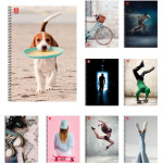 Typotrust Illustration �������� ������ A4 3 ������� - (4543-23)