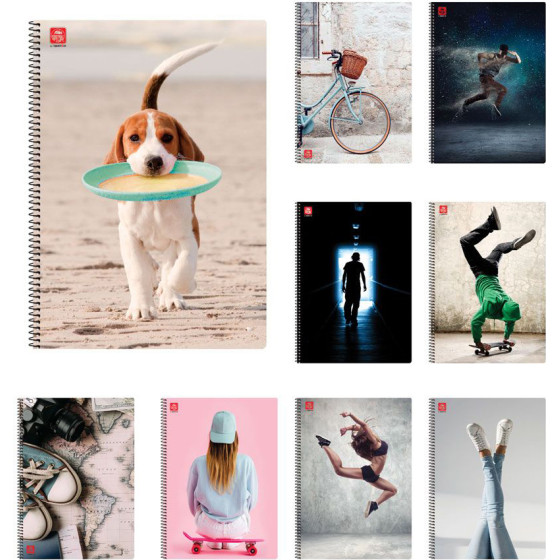 Typotrust Illustration �������� ������ A4 3 ������� - (4543-23)