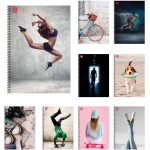 Typotrust Illustration �������� ������ �5 2 ������� - (4552-23)