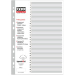 Typotrust ������������ A4 ���������� �������� 1-31 - (FP40131)