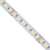 GloboStar ������ Led Smd 5050 Rgbw + Ww 5in1 5m 36W/m 72LED/m 120� Dc 24V IP20 3600lm/m ��������� Rgb - ����� ����� 6000K - ������ ����� 4500K - ����� ����� 2700K - 5 ������ ������� - (70264)