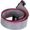 GloboStar Datulco ������������� 0.5m Data Cable HUB75 ��������� �������/������� ��� �������� ������ Led Video Wall �50 x �2.5 x �1.5cm - 2 Years Warranty - (90240)