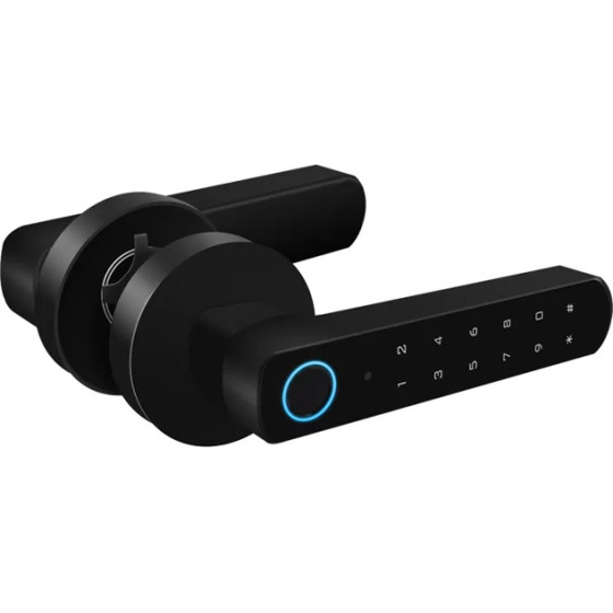 Secukey ������������ D100-BT, ���������� & fingerprint, ������ - (SCK-D100-BT)