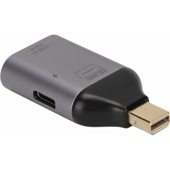 ���������� Mini Minidp To Usb C female