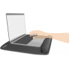DeLock Mousepad ��� Laptop �� �������� ������ 320x420mm, ����� - (12601)