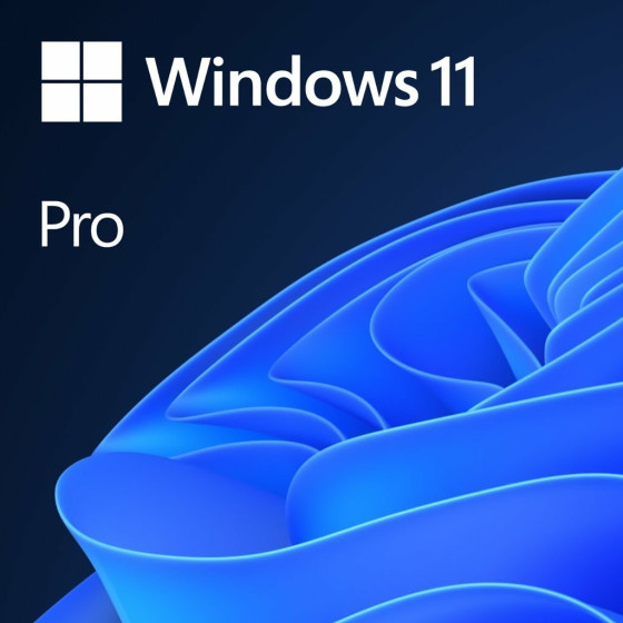 Microsoft Windows Pro Fpp 11 64-Bit Eu (ESD) - (FQC-10572)