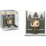 Funko Pop! Deluxe: Harry Potter Chamber of Secrets Anniversary 20th - Remus Lupin with the Shrieking Shack #156 Vinyl Figure