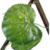 GloboStar Artificial Garden Nasturtium ���������� �������� �������� ��������� - ������� ����� ������� ����������� �110 x �10 x �120cm (min) �310 x �10 x �45cm (max) - (78498)