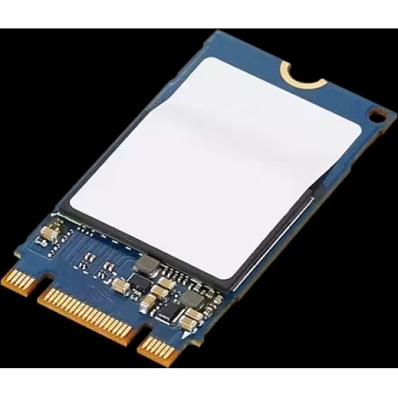 Lenovo Thinkpad 1TB Pcie Nvme M.2 2242 S - (4XB1B85887)