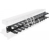 DeLock Cable Management ��� Rack 19''/1U, ����� - (66550)