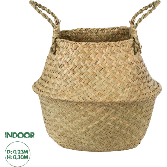 GloboStar Artificial Garden Ibiza ������������ ������ ������ - ����� ������� - Flower Pot ���� �23cm x �30cm - (20195)