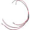 GloboStar ������� ����������� ��� Led Modules Input x 1 Output x3 ����� 75cm - (90244)