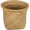 GloboStar Artificial Garden Cecilia ������������ ������ ������ - ����� ������� - Flower Pot ���� �24cm x �24cm - (20342)