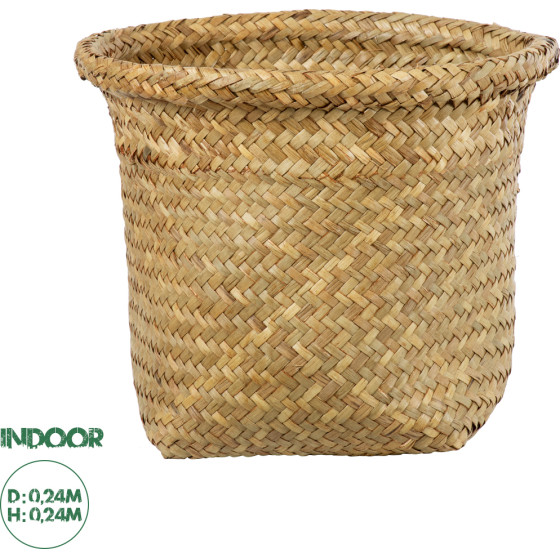 GloboStar Artificial Garden Cecilia ������������ ������ ������ - ����� ������� - Flower Pot ���� �24cm x �24cm - (20342)