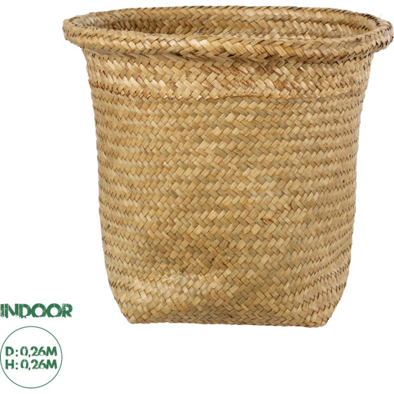 GloboStar Artificial Garden Cecilia ������������ ������ ������ - ����� ������� - Flower Pot ���� �26cm x �26cm - (20343)
