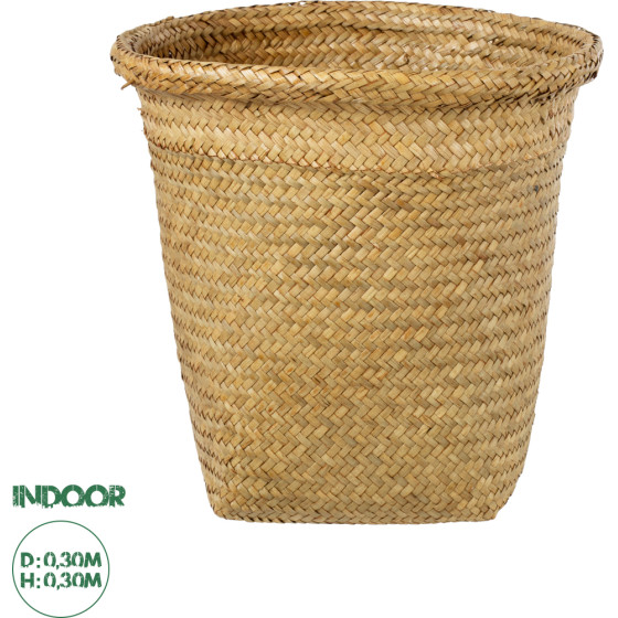 GloboStar Artificial Garden Cecilia ������������ ������ ������ - ����� ������� - Flower Pot ���� �30cm x �30cm - (20344)