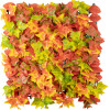 GloboStar Artificial Garden Autumn Maple ������� ������������ ����� ��������� - ������� ����� ������� ������������ ��������� �50 x �50 x �10cm - (20349)
