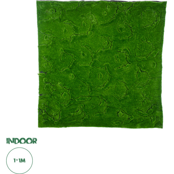 GloboStar Artificial Garden Bryophyta ������� ������������ ����� ��������� - ������� ����� ���� �100 x �100 x �3cm - (20145)