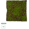GloboStar Artificial Garden Bryophyta ������� ������������ ����� ��������� - ������� ����� ���� �100 x �100 x �5cm - (20143)